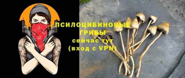 PSILOCYBIN Заволжье