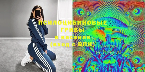 гашиш Заводоуковск